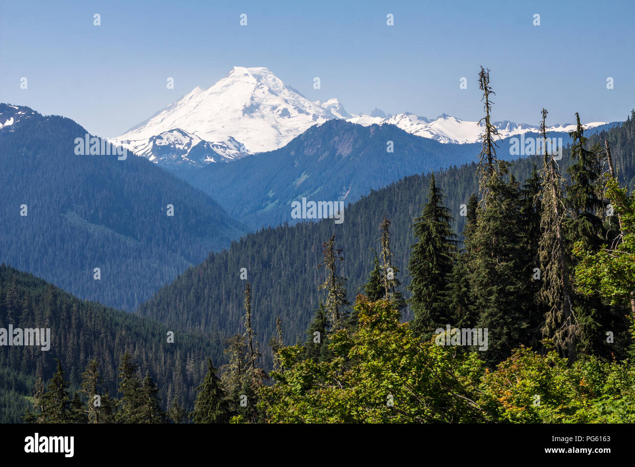 Clad with snow and glaciers, Mount Baker dominates view from the Yellow Aster Butte Trail off highway 542 in Washington State near Canadian  border Stock Photo
