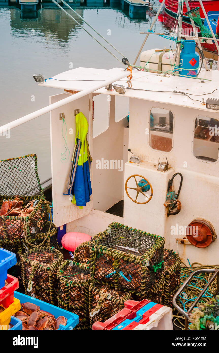 Hauls of crabs in boxes on a trawler Stock Photo