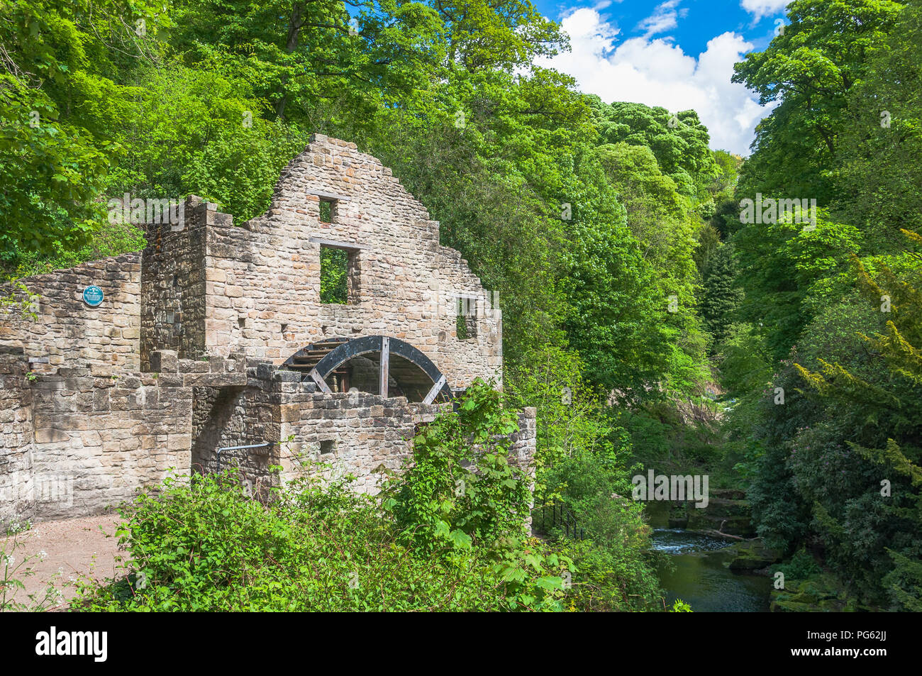 An abandoned water mill house amid trees and bushes in Jesmond Dene