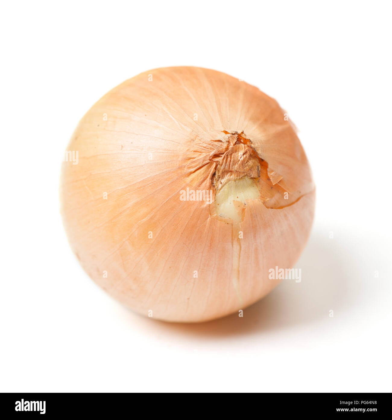 One rotten onion isolated on white background Stock Photo