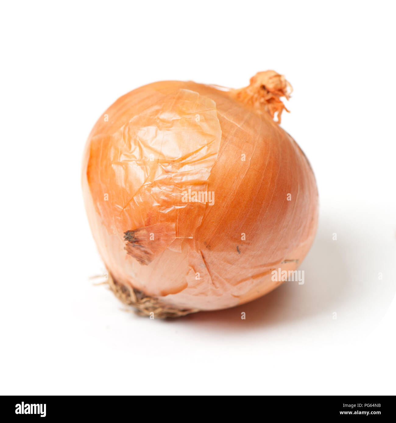 One rotten onion isolated on white background Stock Photo