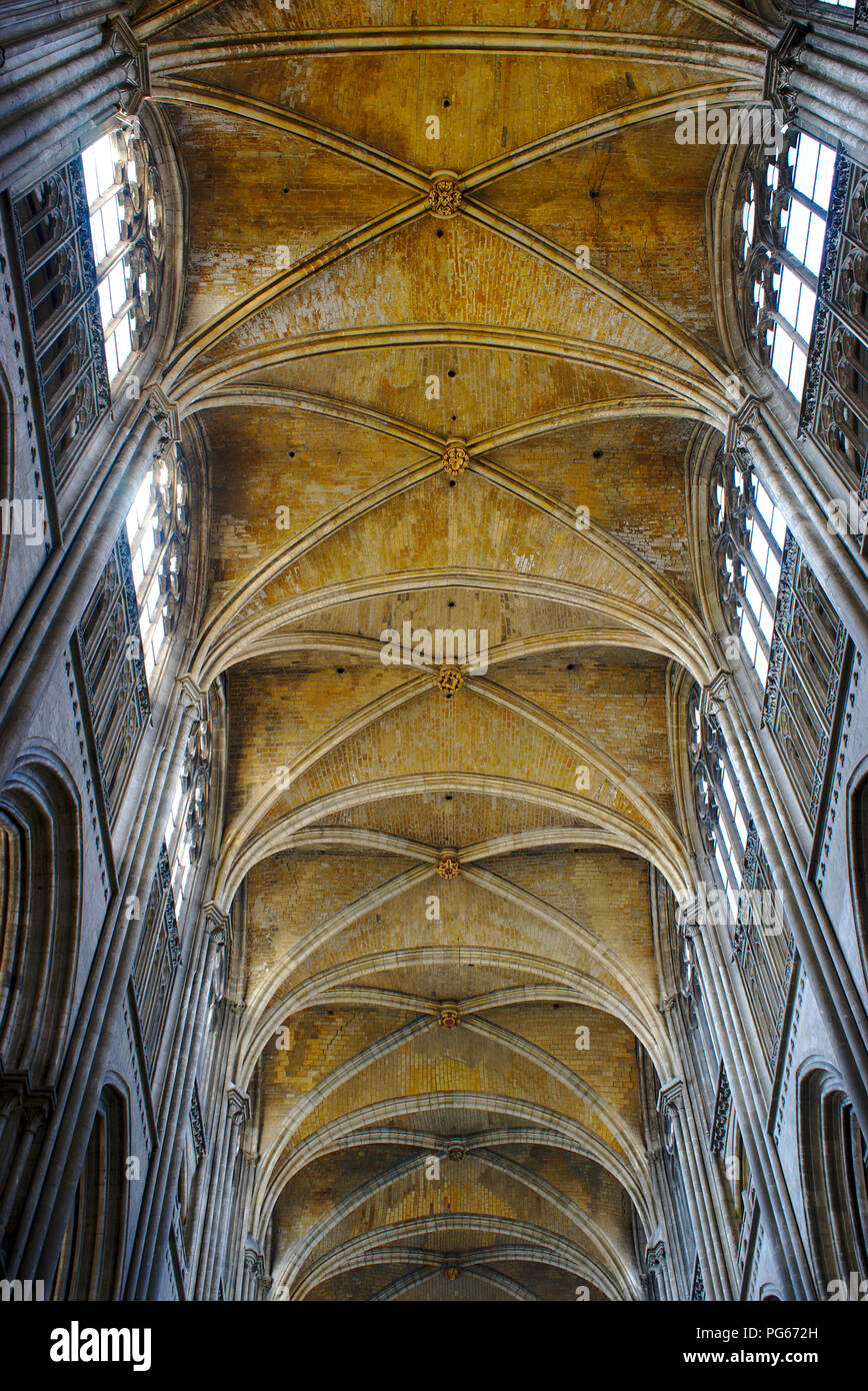 Cathedral Notre-Dame of Rouen. Vaults of warheads of the nave. Stock Photo