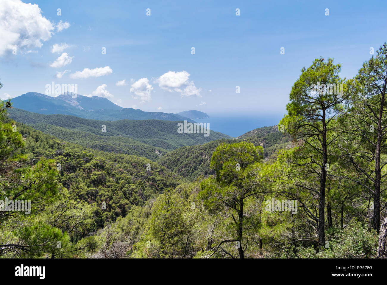 Beautiful Mediterranean Sea With Clear Turquoise Water And Pine Trees Stock  Photo - Image of greece, green: 223913666