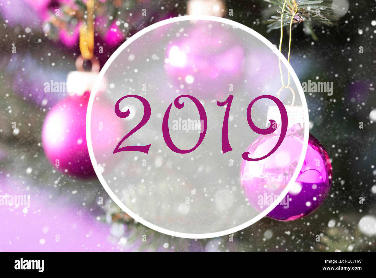 Rose Quartz Christmas Balls, Circle With Text 2019 Stock Photo