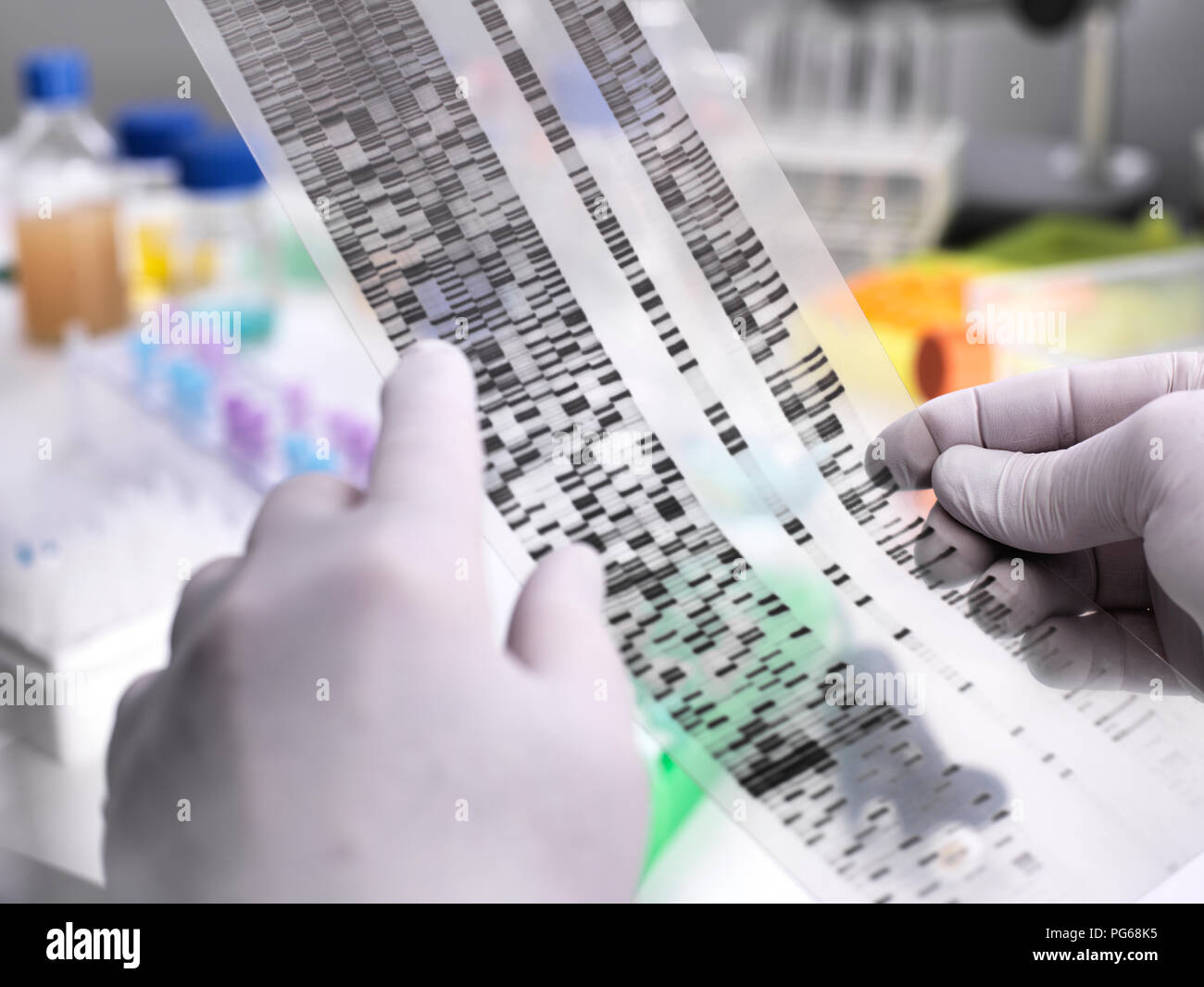 Specimen High Resolution Stock Photography and Images Alamy