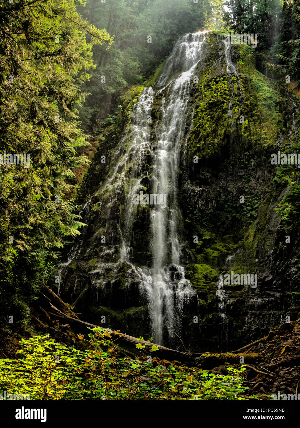 Proxy Falls,  Oregon Stock Photo