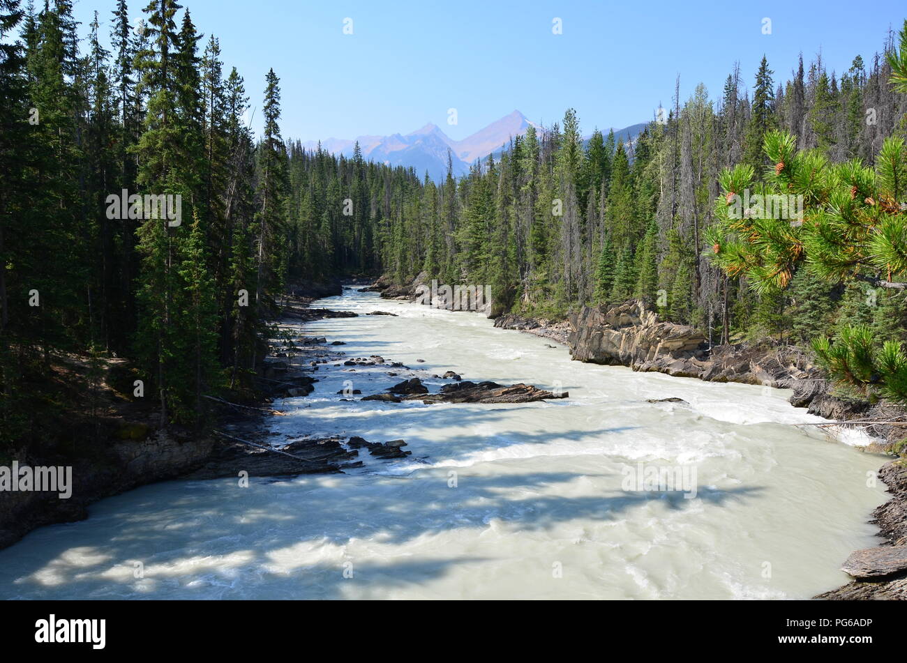Mountain river The Kicking Horse River, British Columbia, Canada. Stock Photo
