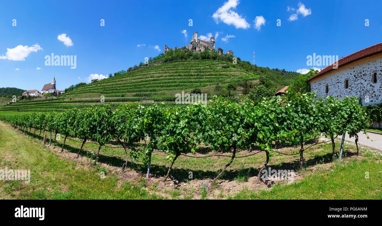 Austria, Lower Austria, Wachau, Kremstal, Senftenberg, Castle ruin Senftenberg Stock Photo