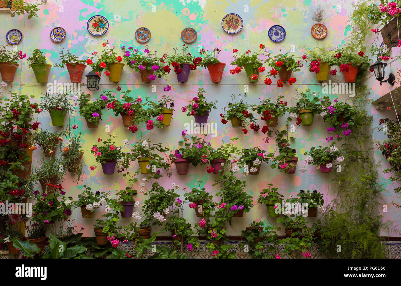 Typical Cordovan patio with the wall covered with beautiful flowers in their pots. Stock Photo