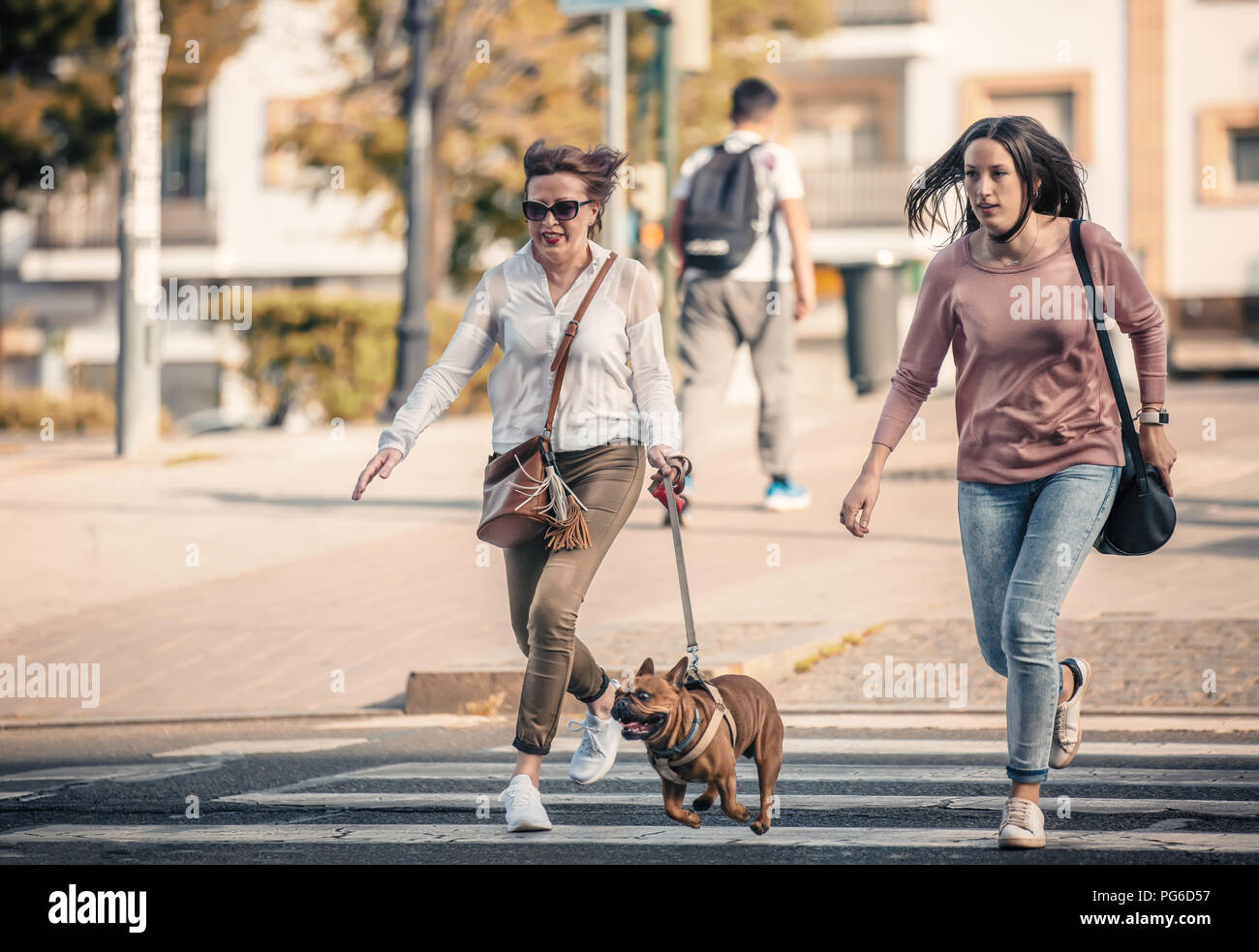 Two women with a dog hurrying through a crossingwalk. Stock Photo