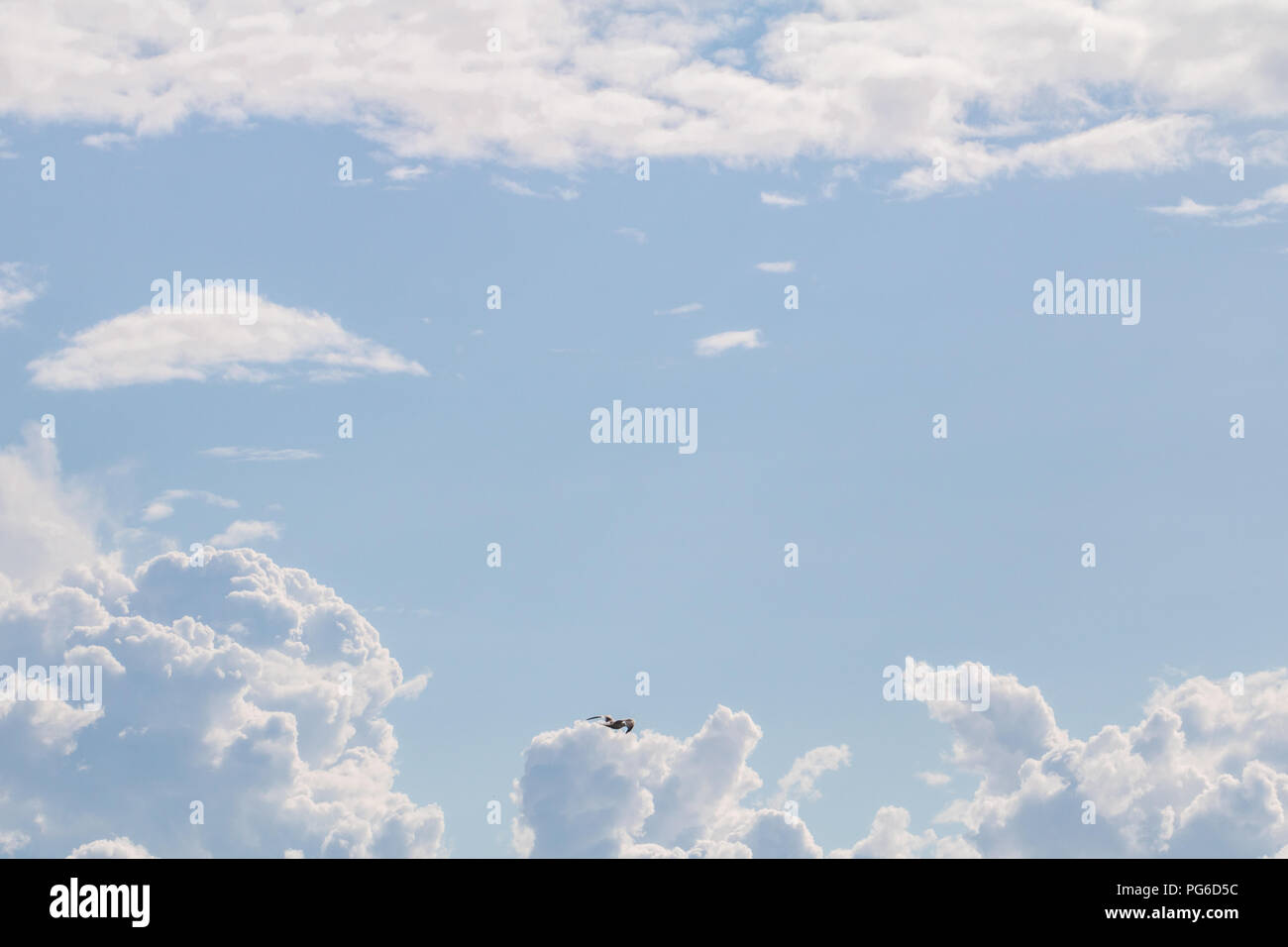 Fluffy clouds on sunny day. Sky background Stock Photo - Alamy