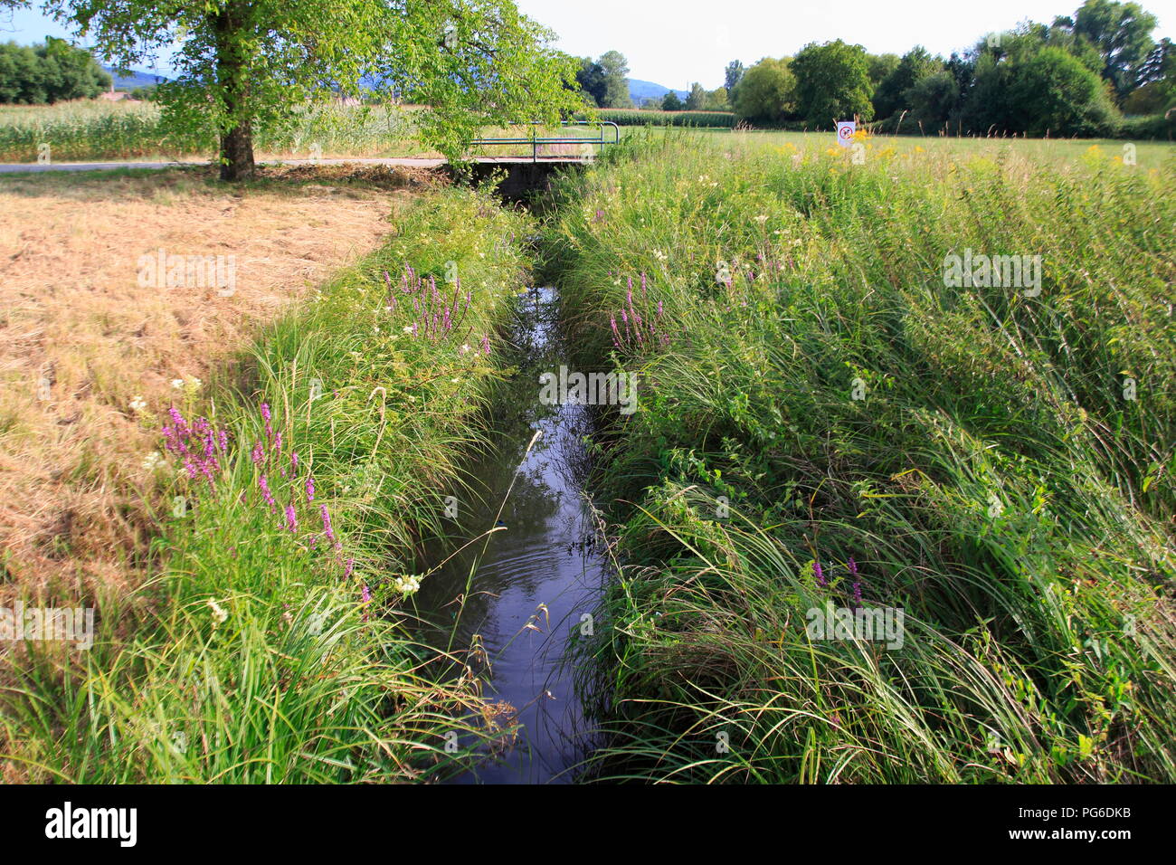 Ooser Landgraben, Fluß durch Sandweier einem Ortsteil von BadenBaden Stock Photo Alamy
