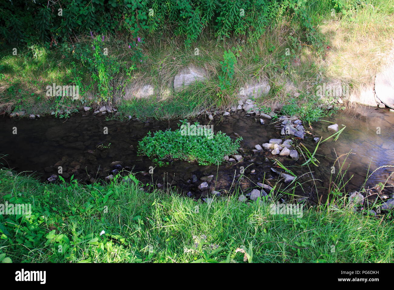 Ooser Landgraben, Fluß durch Sandweier einem Ortsteil von Baden-Baden Stock Photo