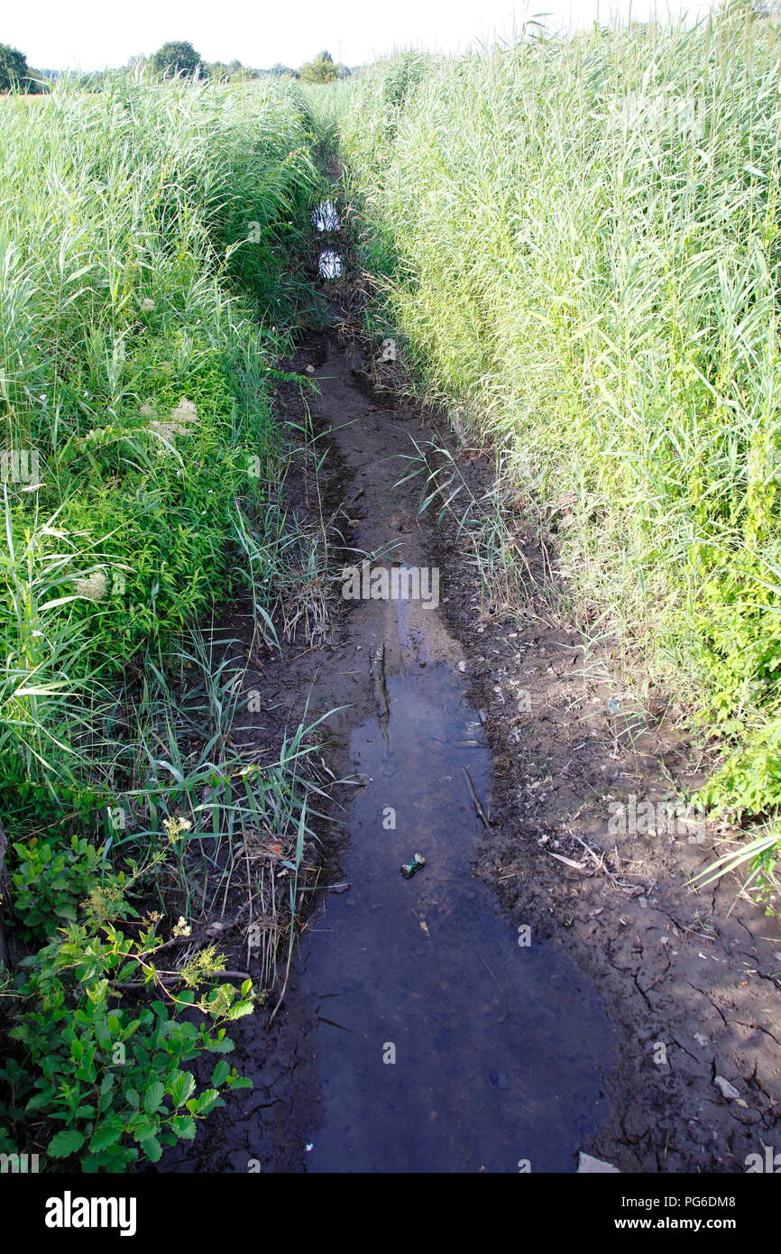 Ooser Landgraben, Fluß durch Sandweier einem Ortsteil von Baden-Baden Stock Photo