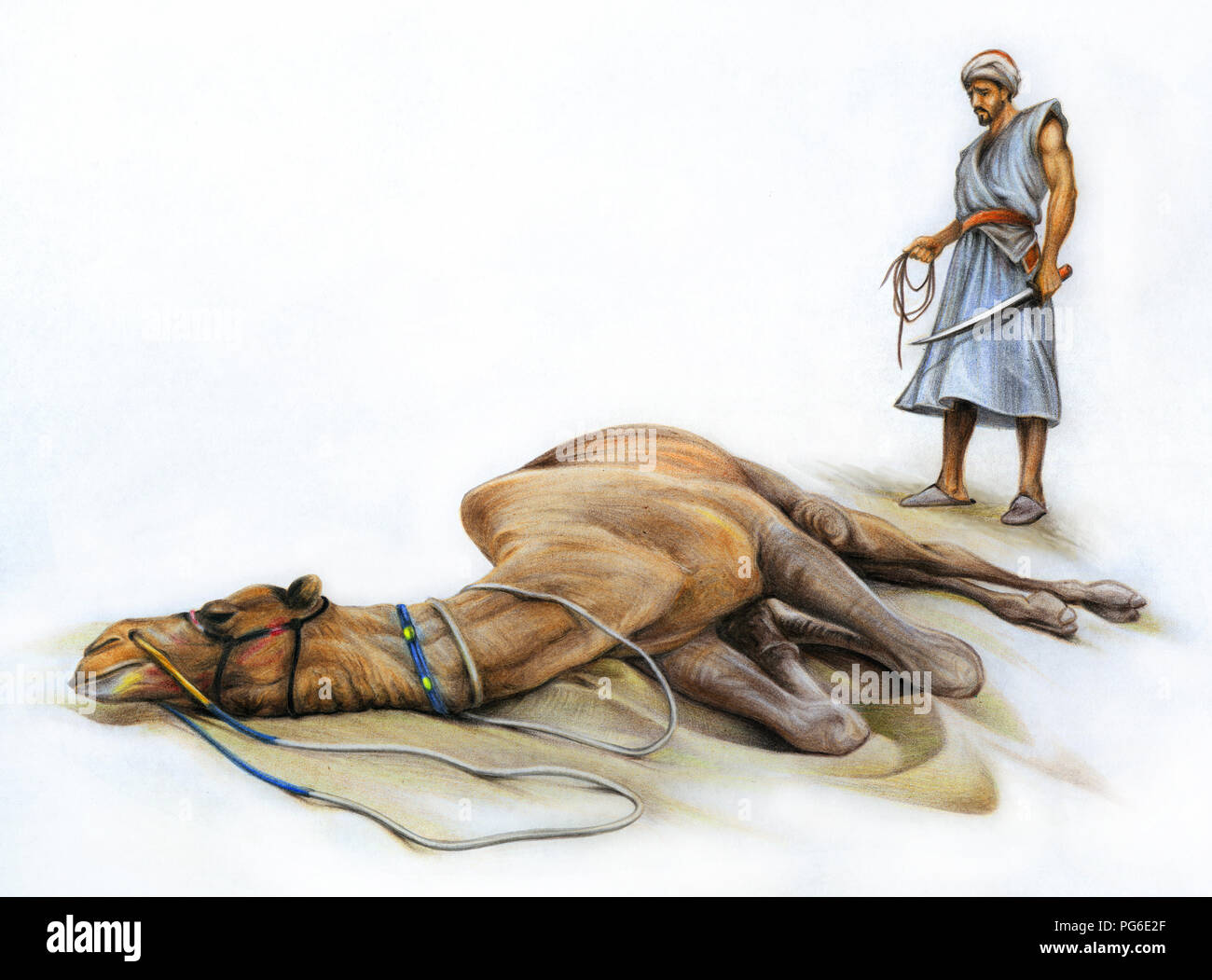Camel and Butcher, Colored Pencil Stock Photo