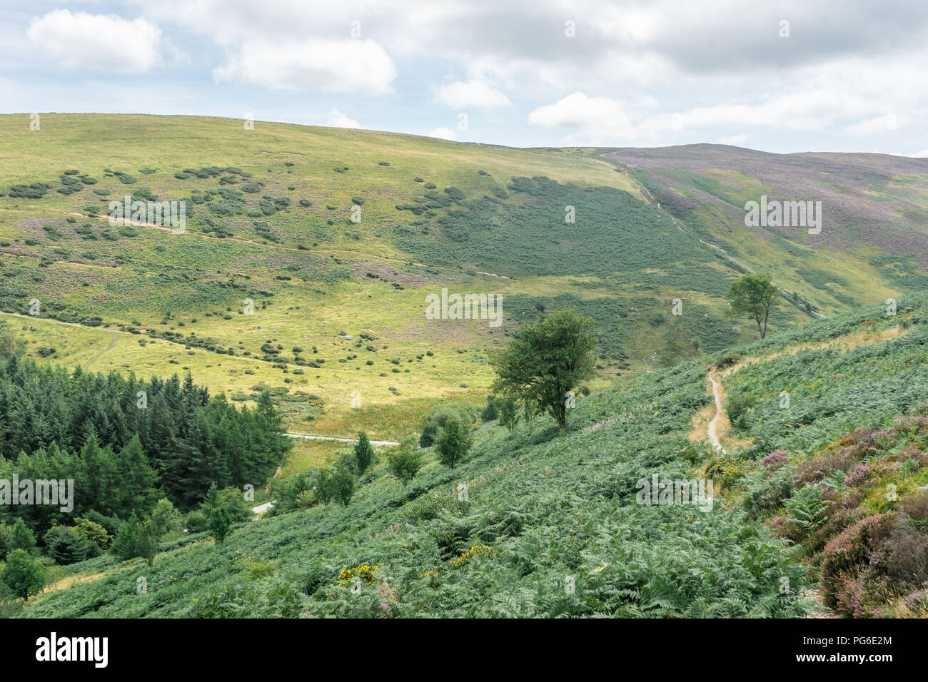 Mold Arthur, Denbighshire, North Wales Stock Photo Alamy