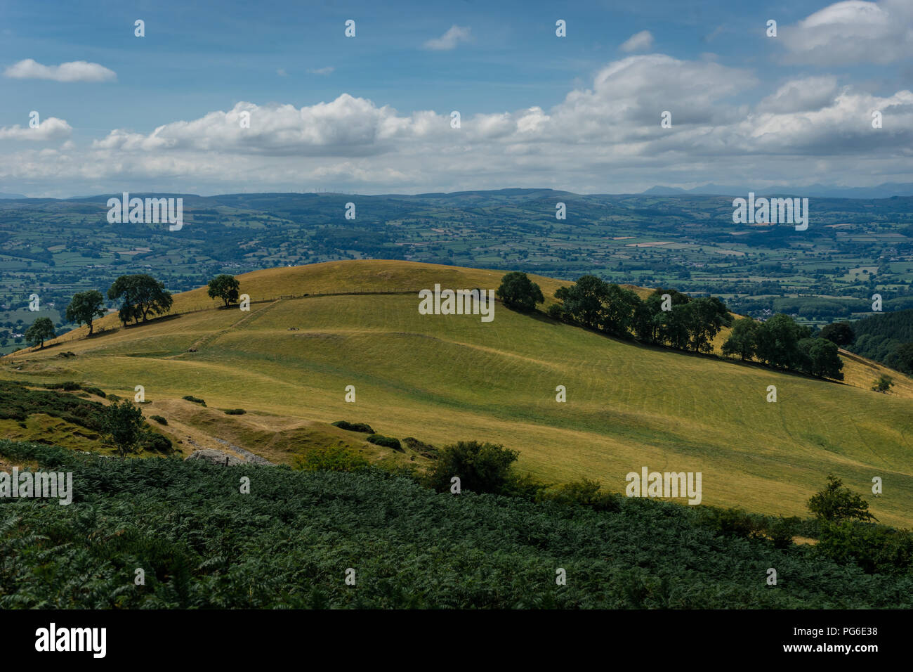Mold Arthur, Denbighshire, North Wales Stock Photo Alamy