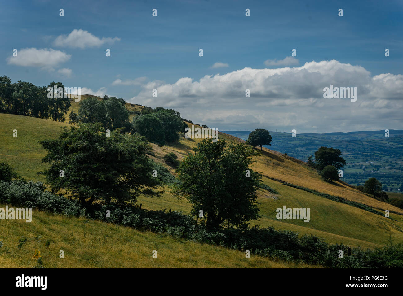 Mold Arthur, Denbighshire, North Wales Stock Photo - Alamy