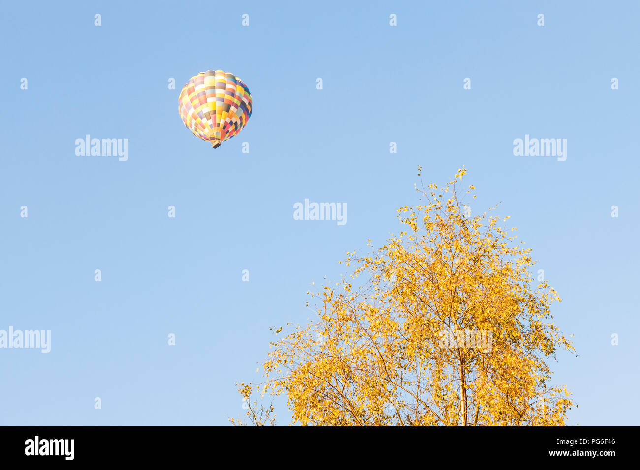 Hot air ballooning in a blue sky. Hot air balloon floating above a tree in Autumn, Derbyshire, England, UK Stock Photo