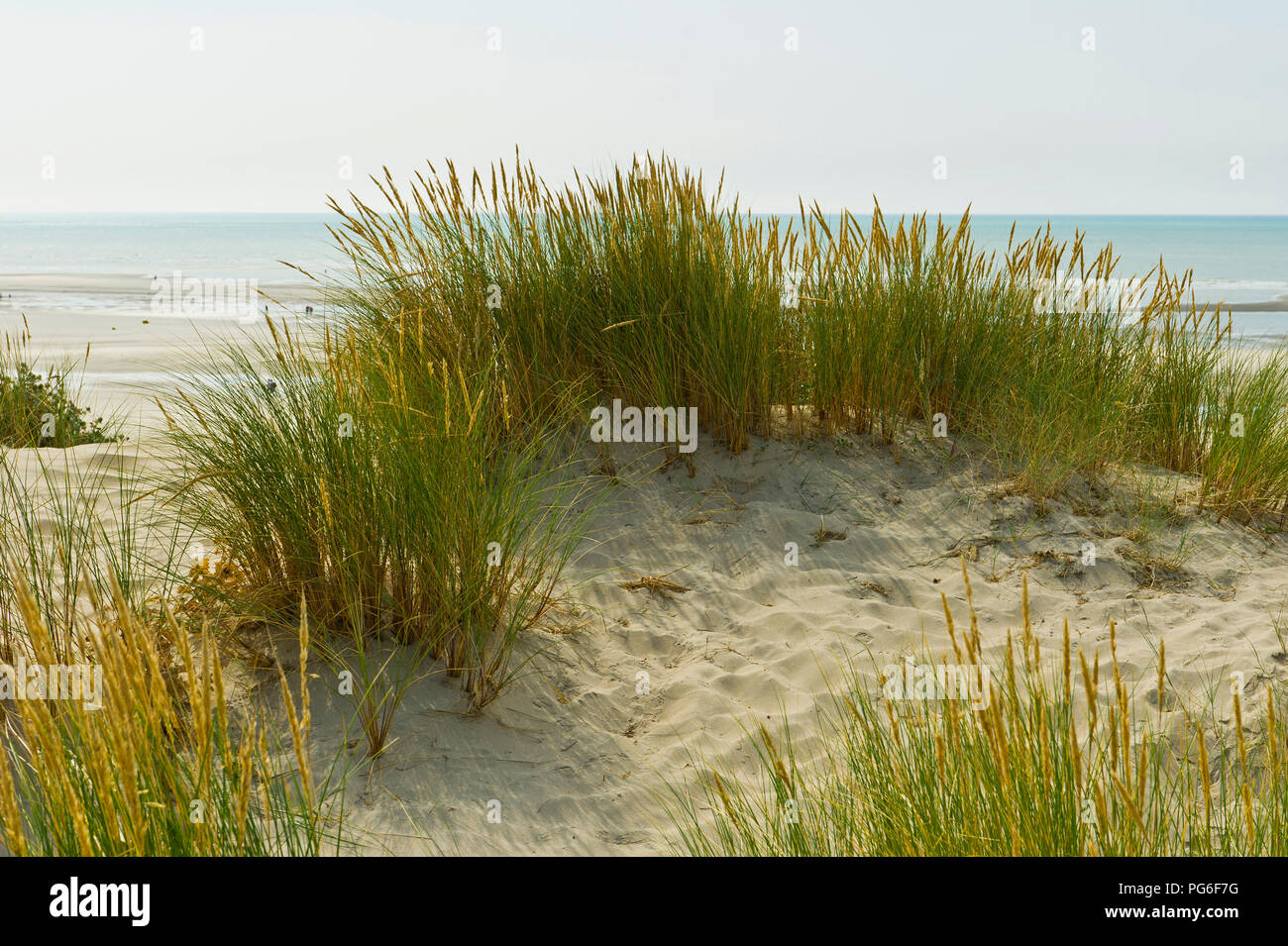 SainteCecile Plage, PasdeCalais, France Stock Photo Alamy