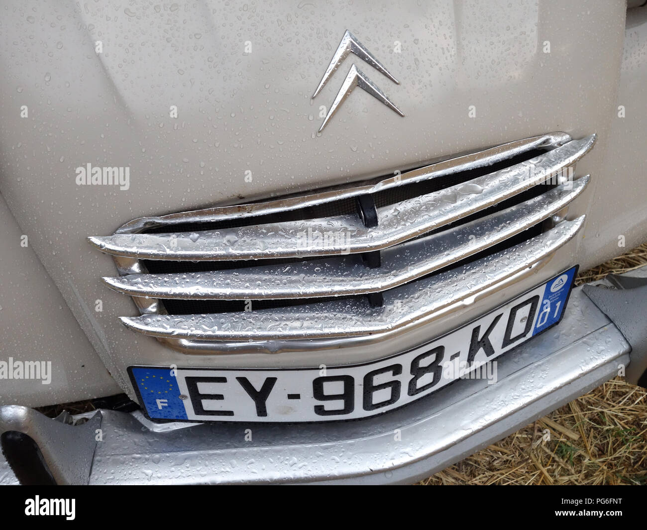 Closeup of a Cream coloured Citroen 2CV engine grill with the car parked under trees in a French car park Stock Photo