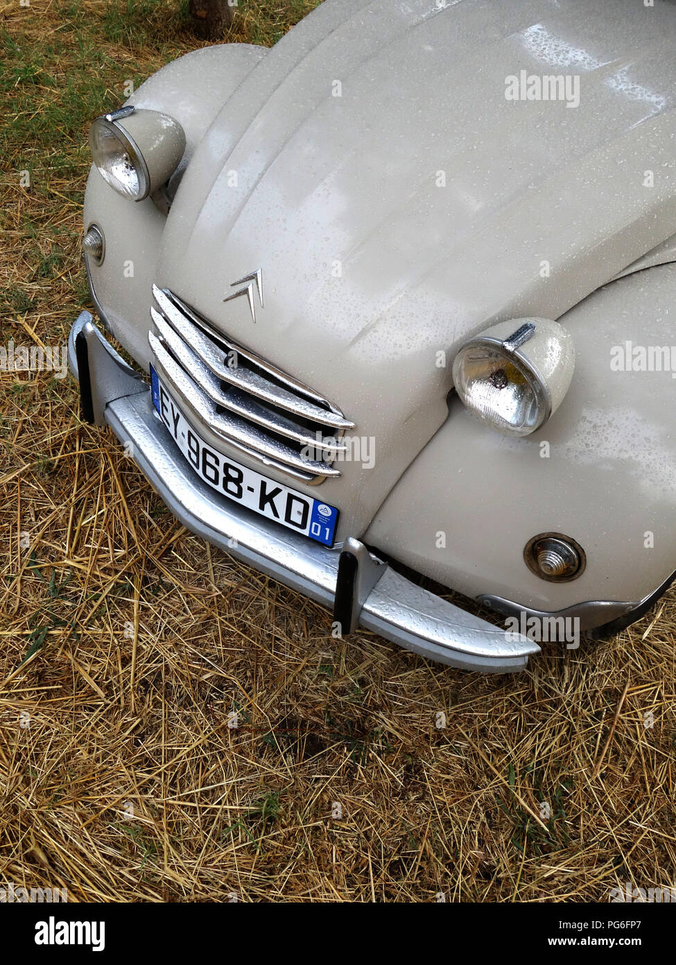 Car Front view of a Cream coloured Citroen 2CV parked under trees in a French car park Stock Photo
