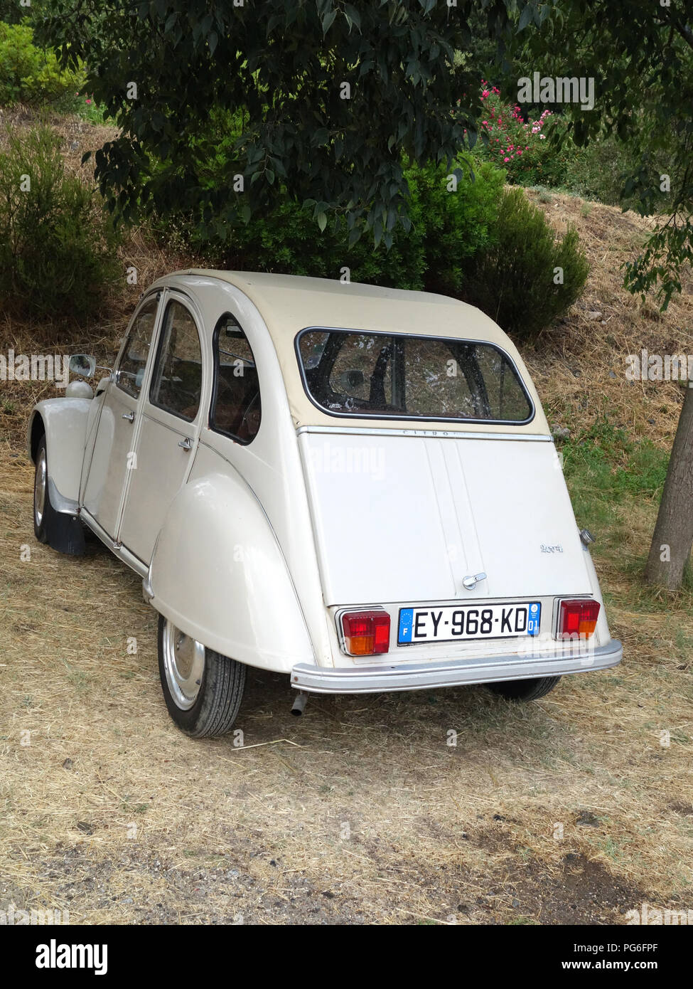 rear view of a Cream coloured Citroen 2CV Parked car under trees in a French car park Stock Photo