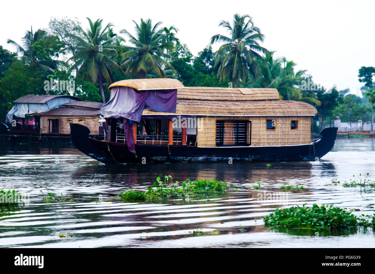 Aquatic plants in kerala hires stock photography and images Alamy
