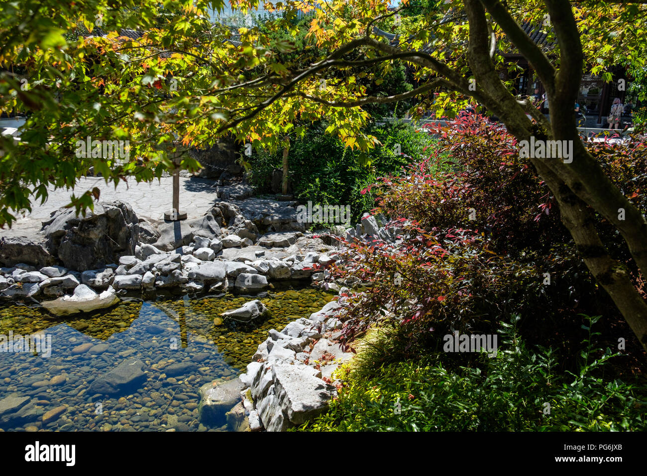 Trees and plants in Lan Su Chinese Garden, Portland, Oregon, USA Stock Photo