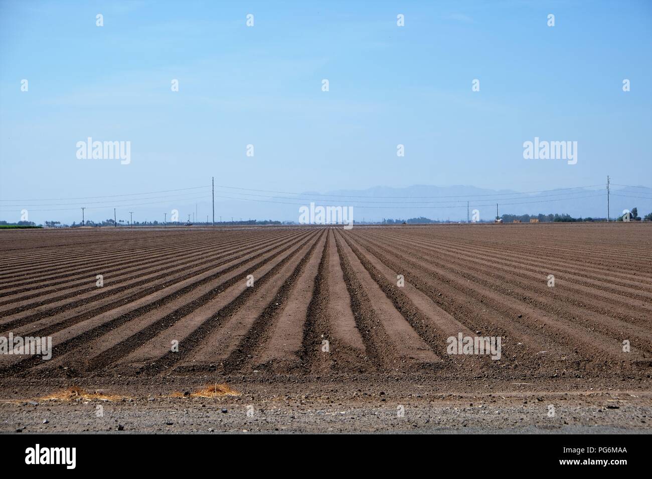 Field prepared for sowing in Imperial County, California, USA. Stock Photo