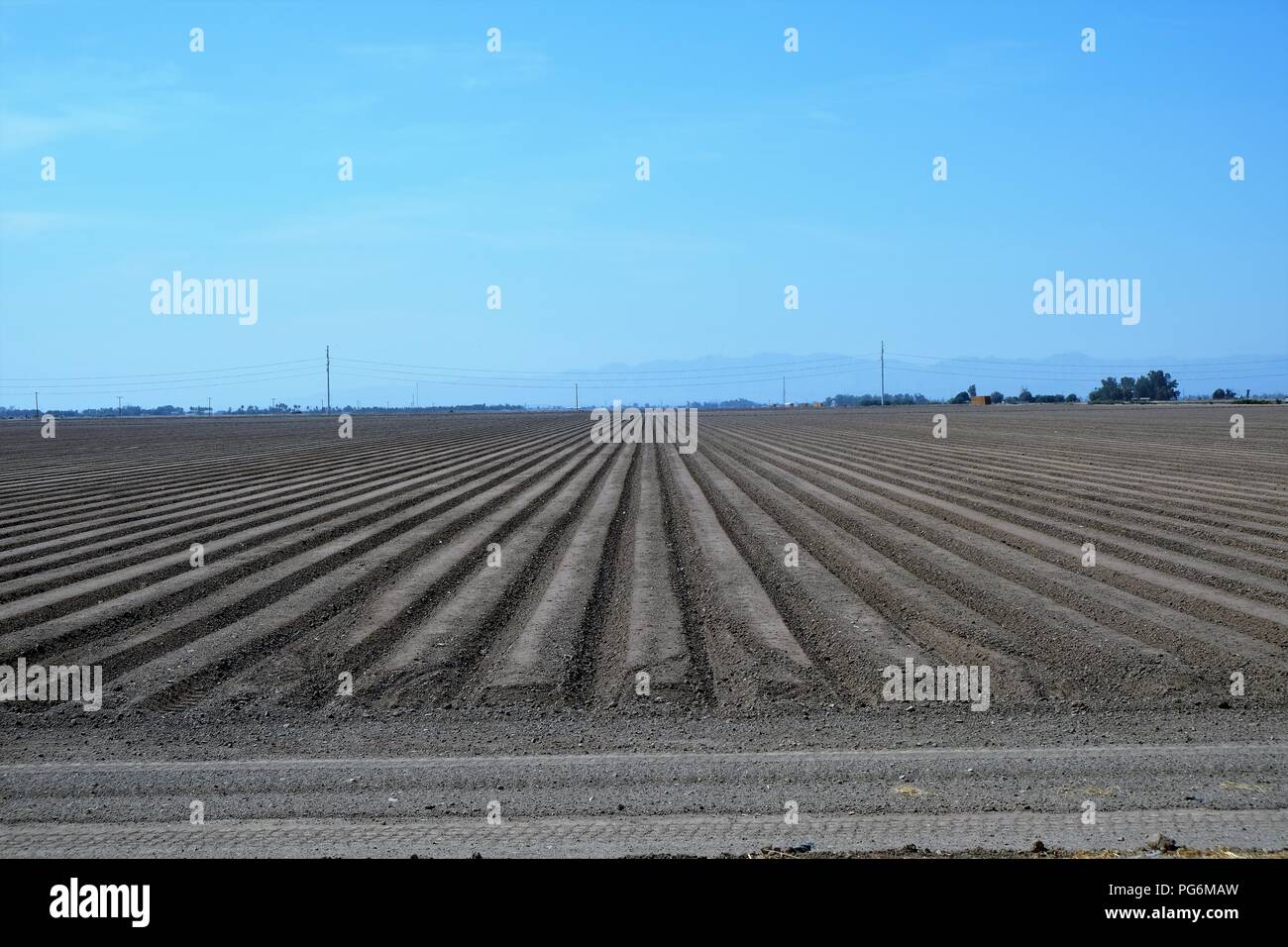 Field prepared for sowing in Imperial County, California, USA. Stock Photo