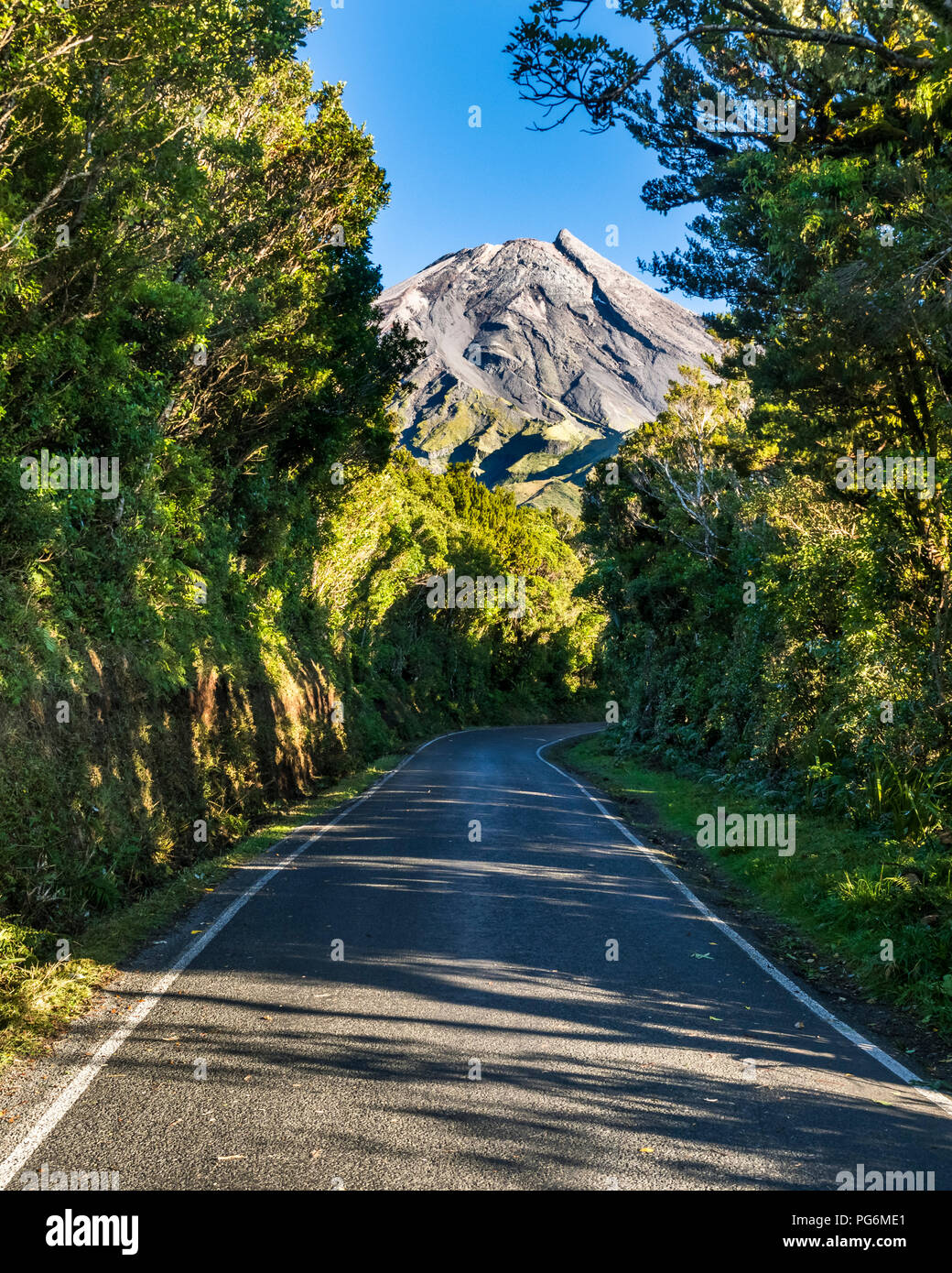 New Zealand, North Island, Egmont National Park, view to Mount Taranaki Stock Photo