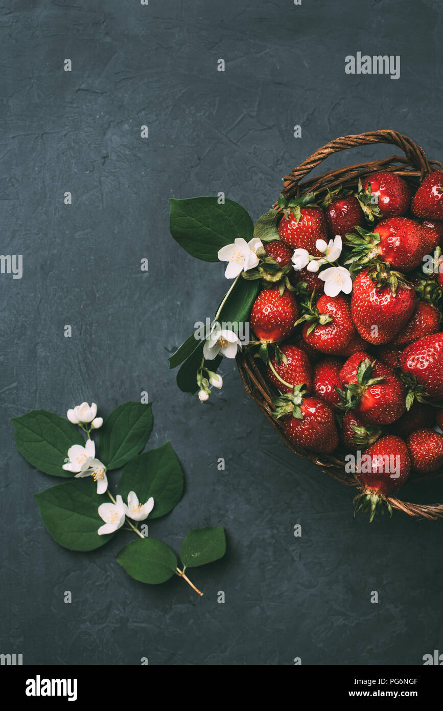 ягоды жасмина фото