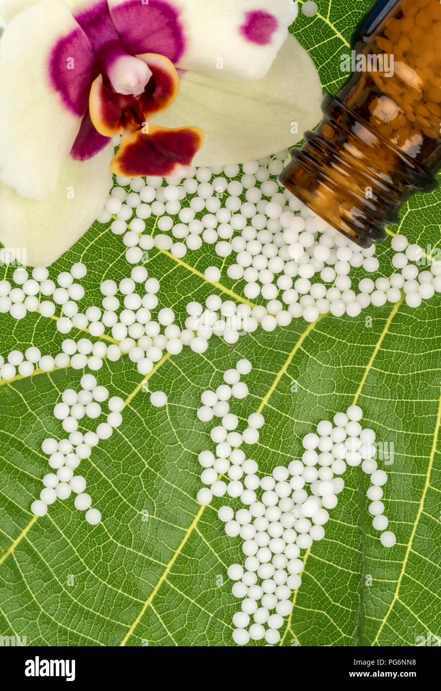 Globuli on green leaf, orchid blossom, apothecary bottle Stock Photo