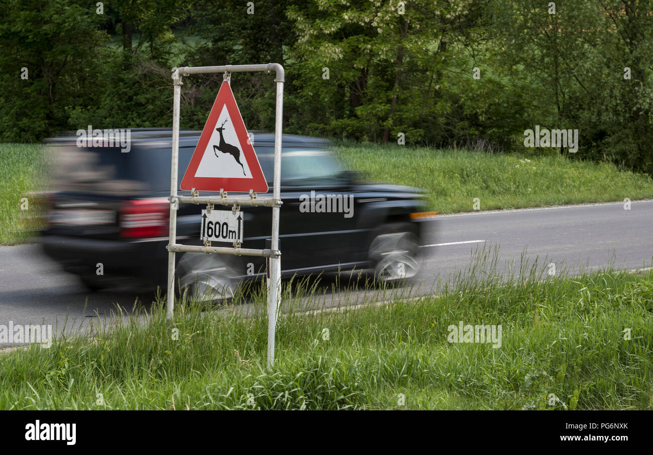 Austria, Burgenland, car and traffic sign deer crossing sign Stock Photo