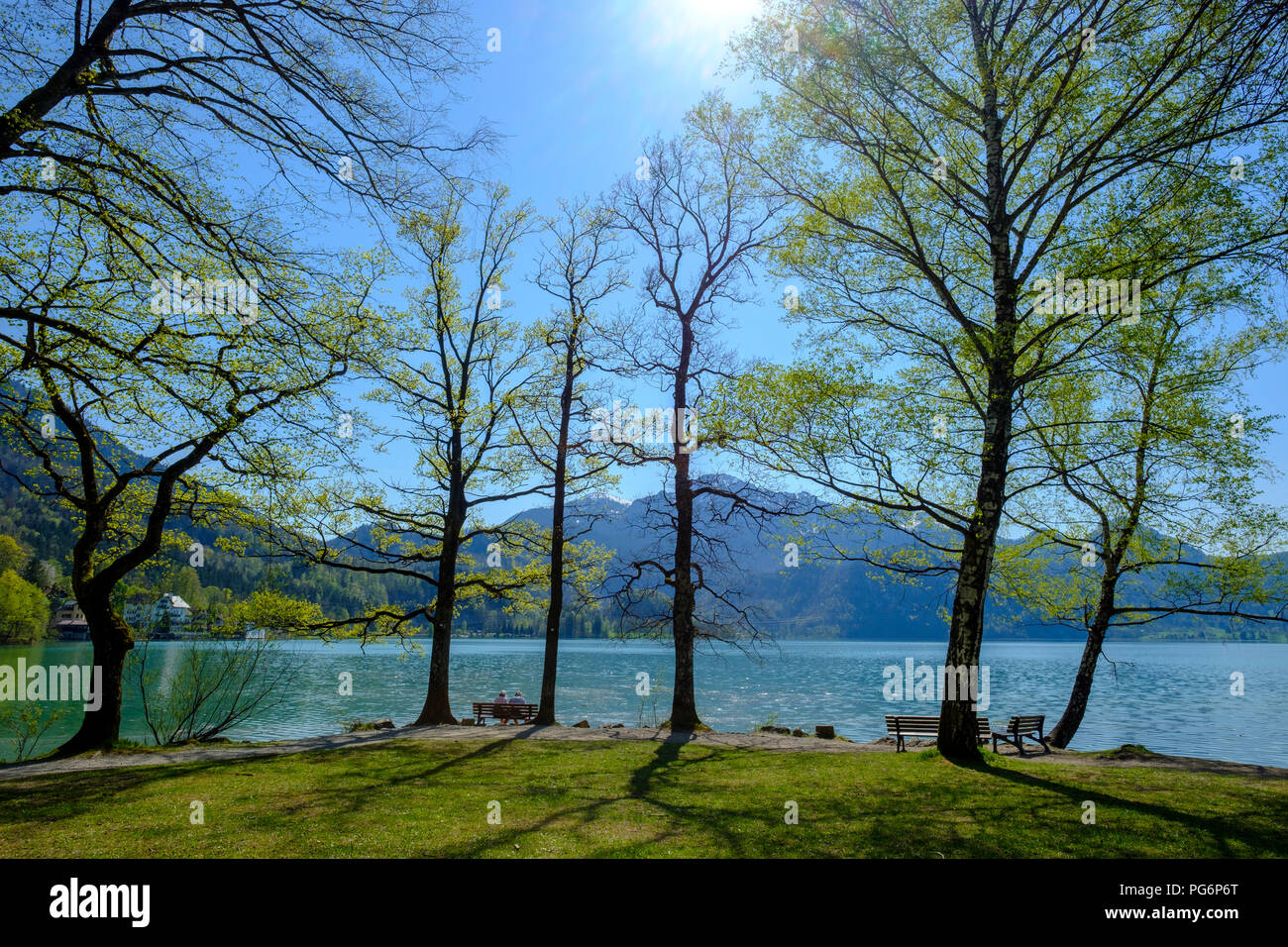 Germany, Bavaria, Upper Bavaria, Lake Kochelsee, View to Herzogstand and Heimgarten Stock Photo