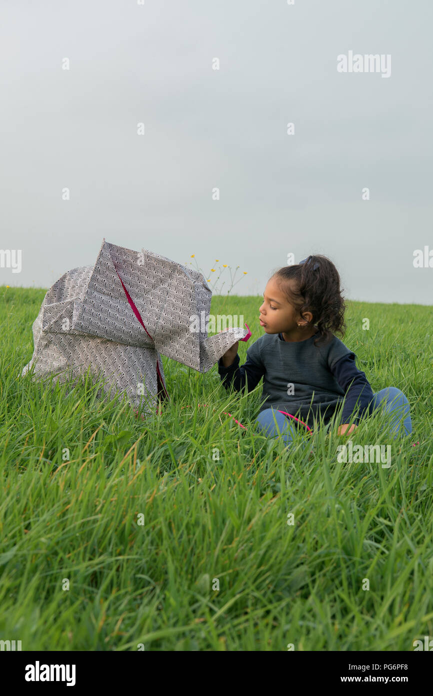 Little girl with origami elephant on meadow Stock Photo