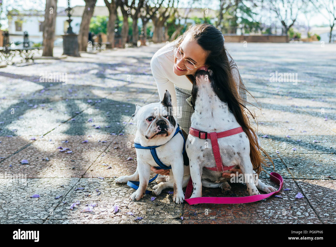 Dogs licking humans hires stock photography and images Alamy