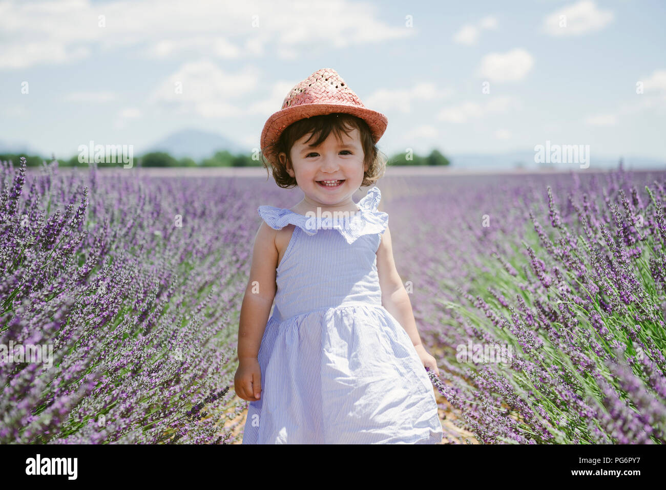 France, Provence, Valensole plateau, Happy toddler girl in purple lavender fields in the summer Stock Photo