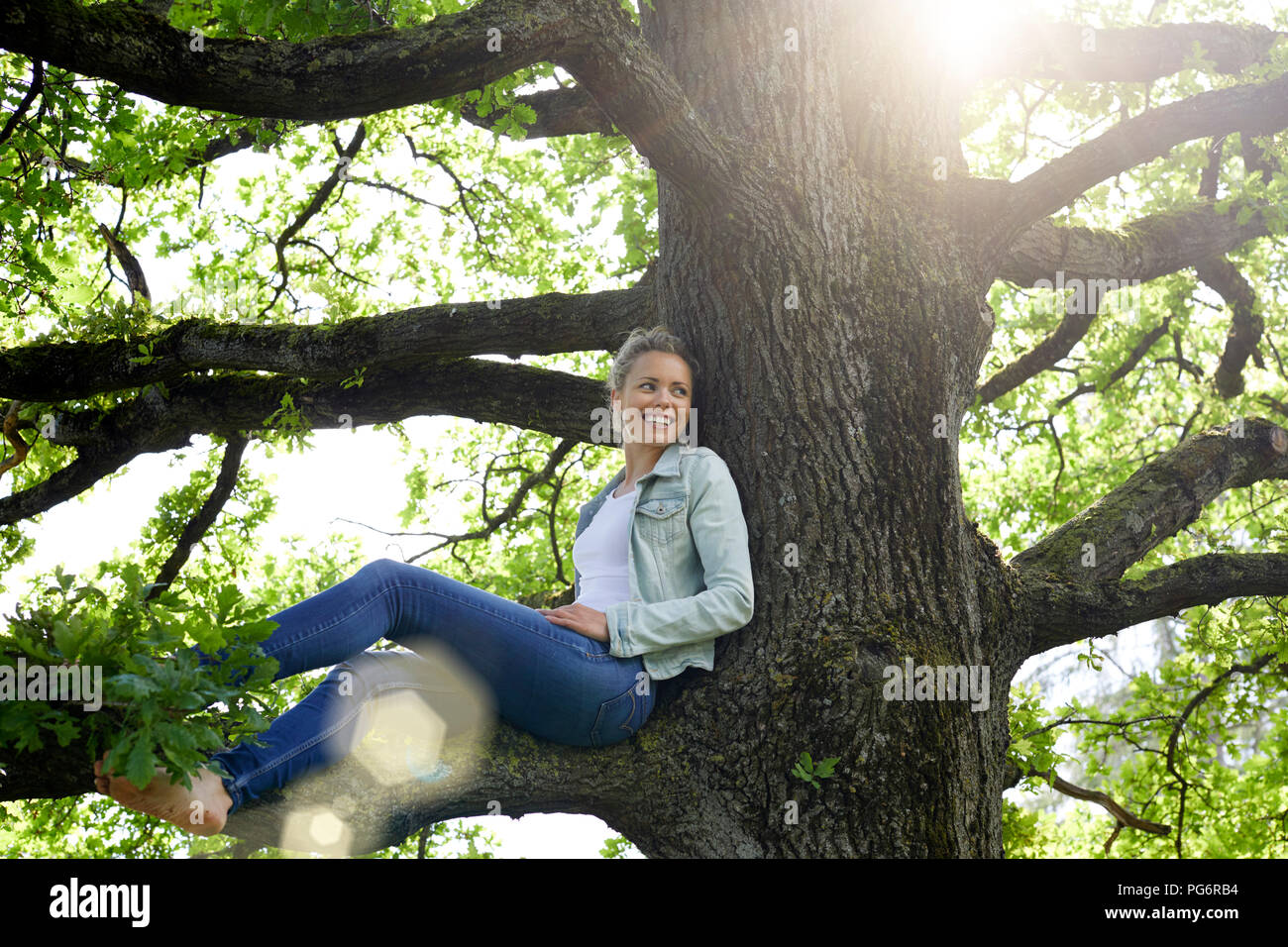 Sitting branch hi-res stock photography and images - Alamy