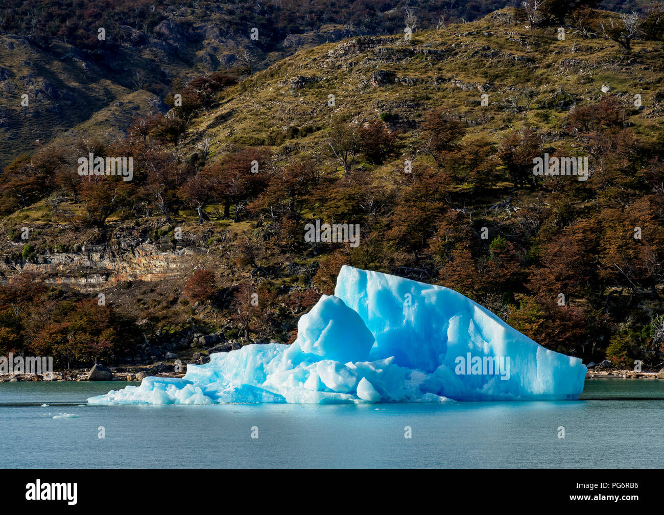 Iceberg on Lake Argentino, Los Glaciares National Park, Santa Cruz Province, Patagonia, Argentina Stock Photo