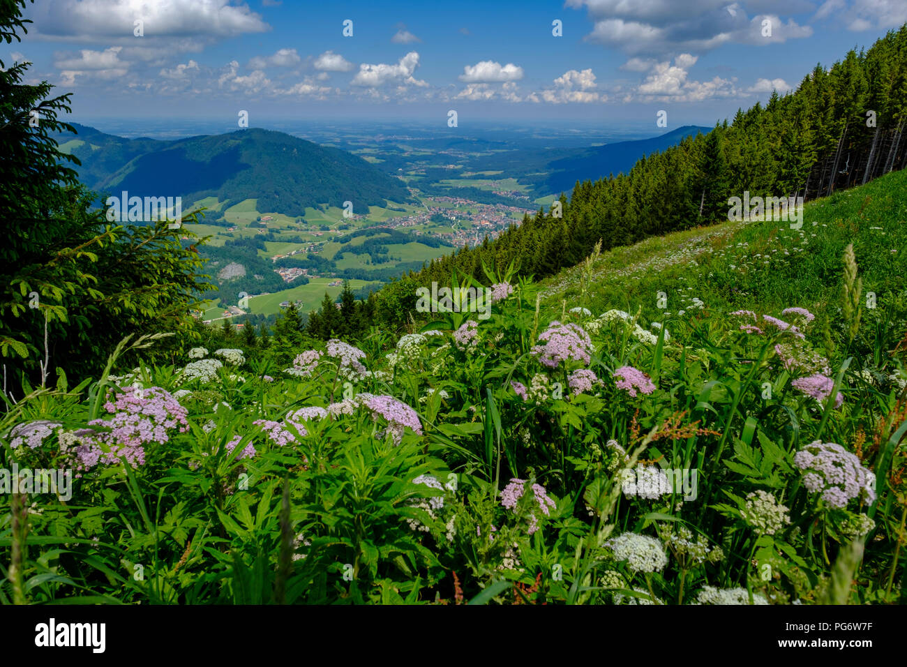 Germany, Bavaria, Upper Bavaria, Chiemgau, Unternberg, View to Ruhpolding Stock Photo