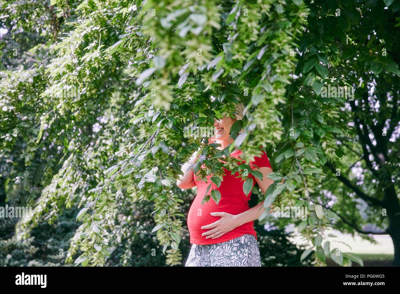 Smiling pregnant woman standing behind branches of a tree Stock Photo