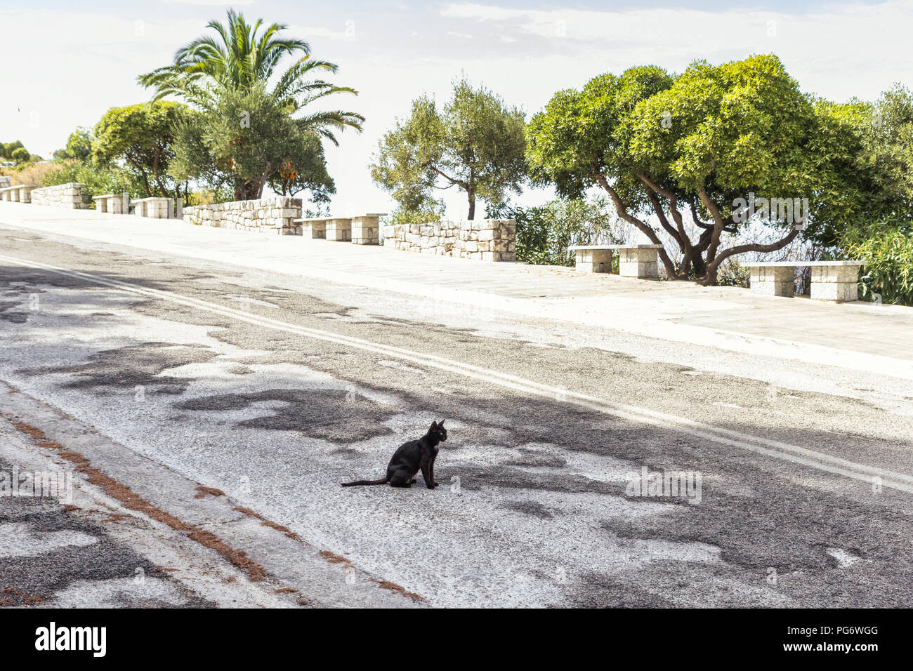 Black cat sitting hires stock photography and images Alamy