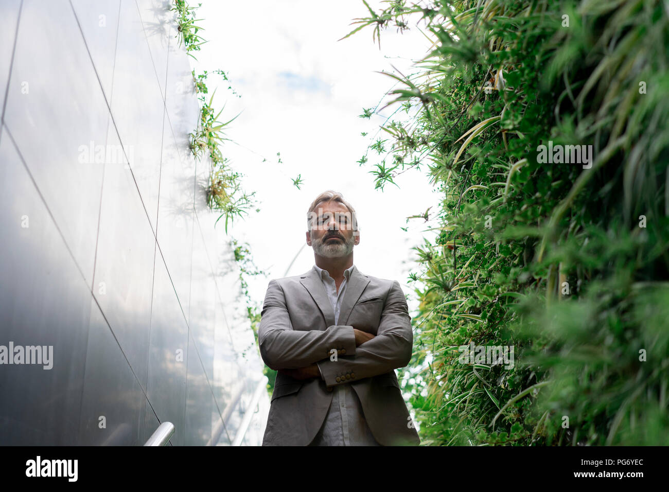 Portrait of arrogant businessman Stock Photo