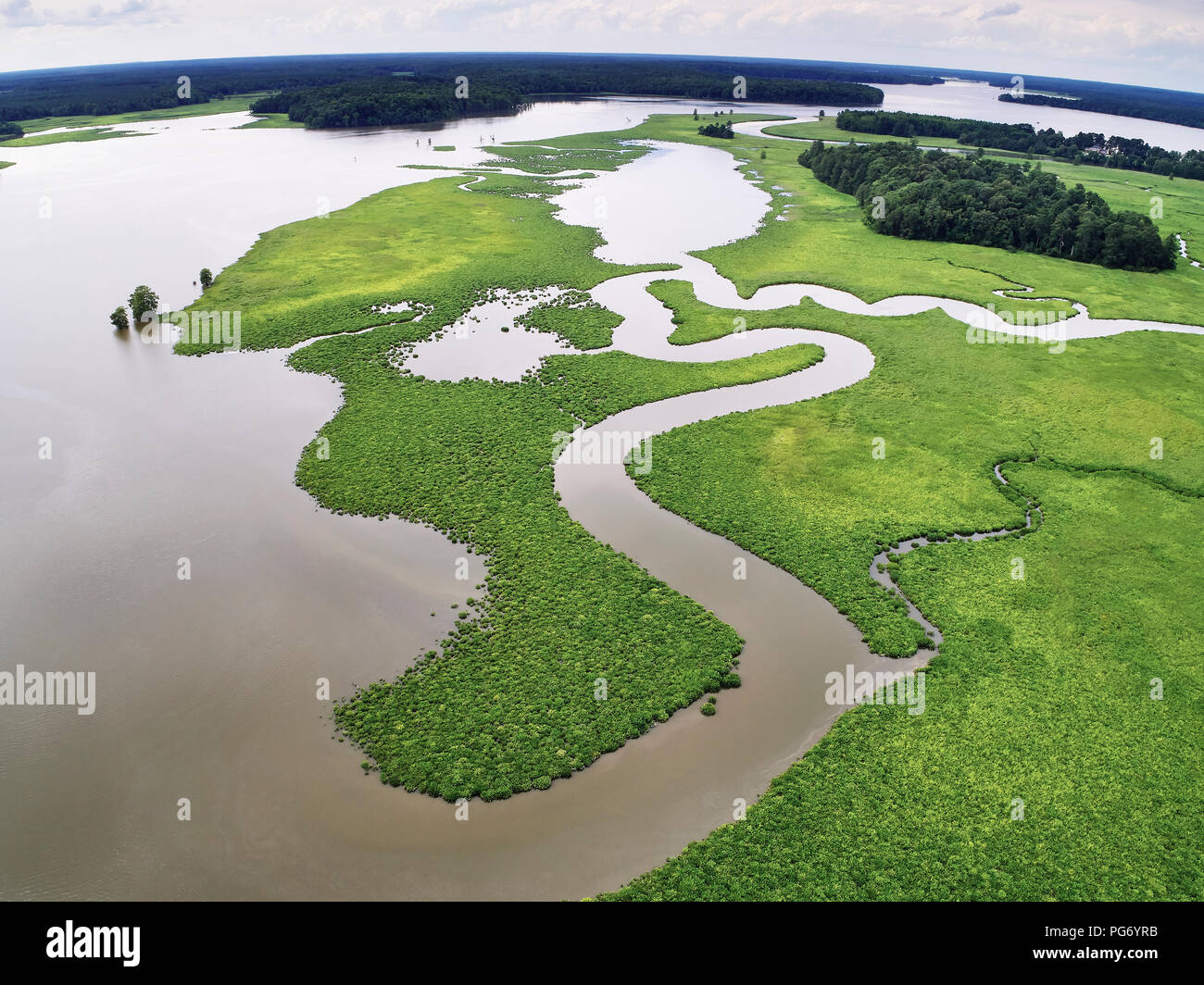 USA, Virginia, Marshes of the Chickahominy River Stock Photo Alamy