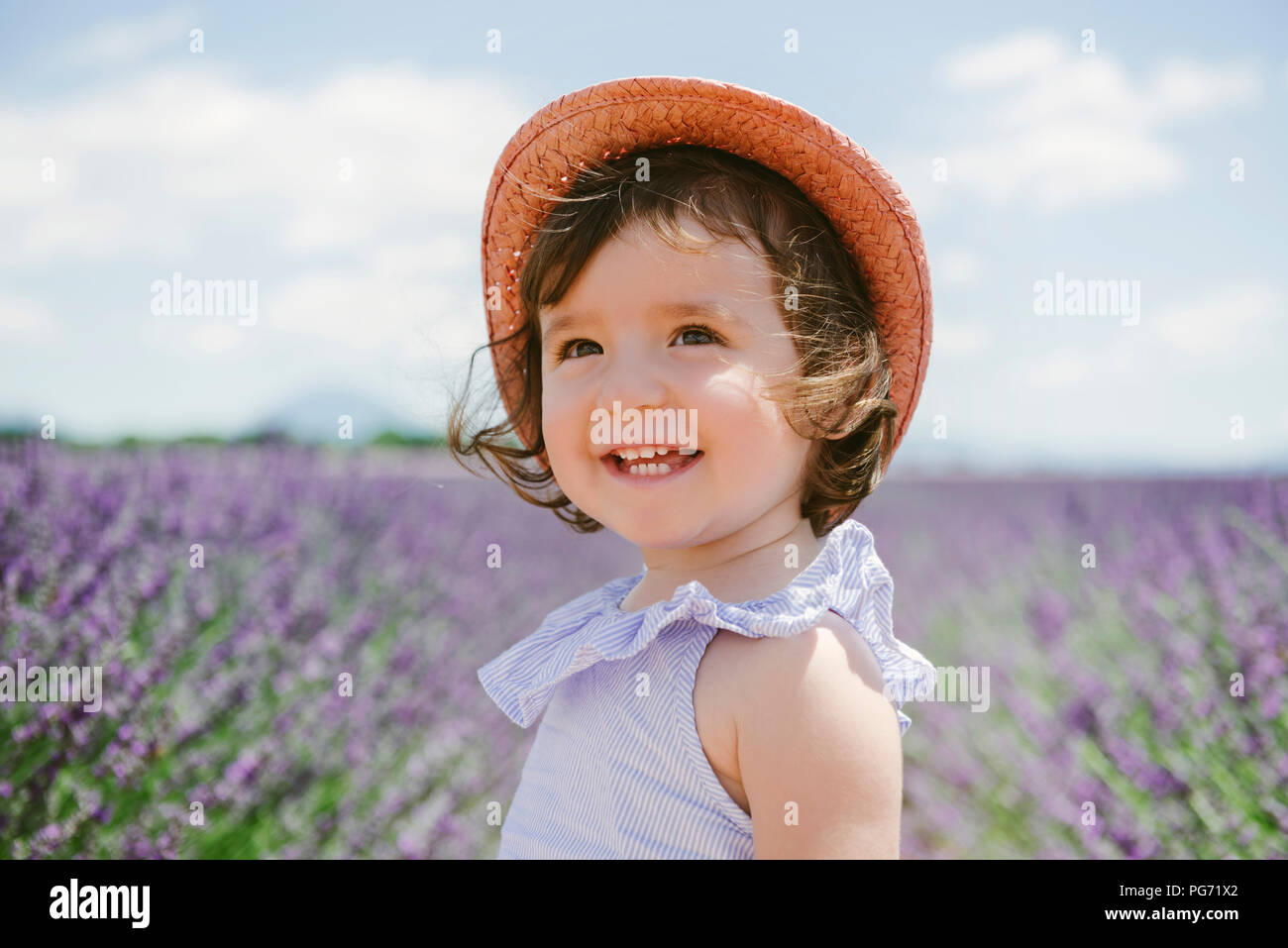 France, Provence, Valensole plateau, Happy toddler girl in purple lavender fields in the summer Stock Photo