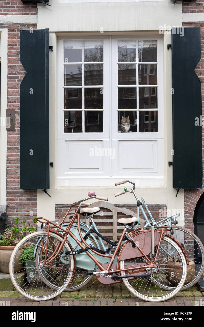 Cat looking out of a window in the Canal District of Amsterdam with two bicycles outside Stock Photo