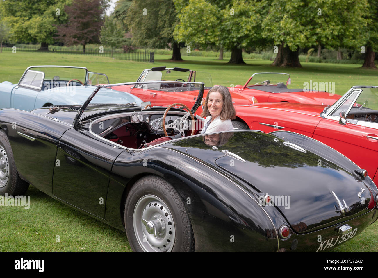 Lady driver in 1955 Austin Healey 100 in a group of classic cars Stock Photo