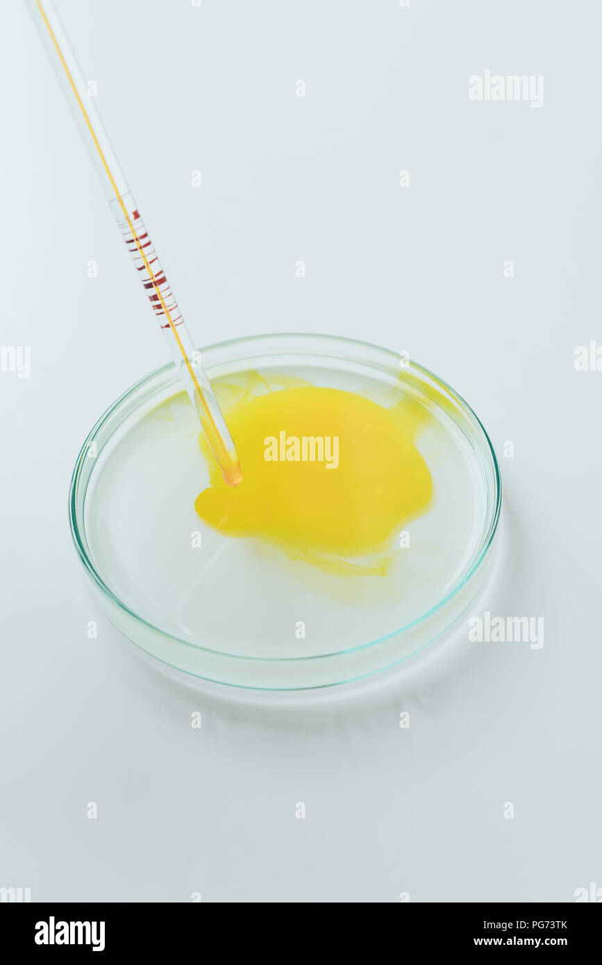 closeup shot of yellow liquid pouring from pipette into petri dish